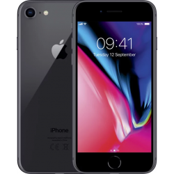 Apple iPhone 8 256GB Gray, trieda B, použitý, záruka 12 mesiacov, DPH nemožno odčítať