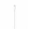 Kábel Lightning na USB-C pre Apple iPhone, 1m, biely